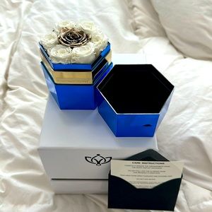 The Million Roses. Six white roses and one gold rose.